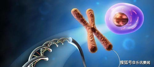 基因組垃圾場中的進化密鑰 科學家發現隱藏的重要基因